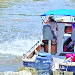 Ya pican los chatos en tu Weekend de enero, y mucho más para las vacaciones.