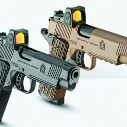 Ya pican los chatos en tu Weekend de enero, y mucho más para las vacaciones.