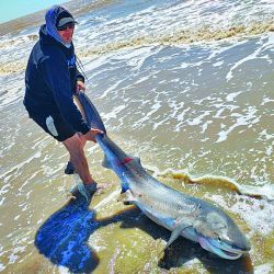 Ya pican los chatos en tu Weekend de enero, y mucho más para las vacaciones.