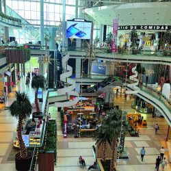 Ya pican los chatos en tu Weekend de enero, y mucho más para las vacaciones.