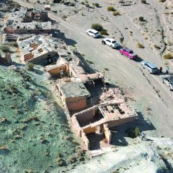 Ya pican los chatos en tu Weekend de enero, y mucho más para las vacaciones.