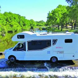 Ya pican los chatos en tu Weekend de enero, y mucho más para las vacaciones.