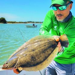Ya pican los chatos en tu Weekend de enero, y mucho más para las vacaciones.