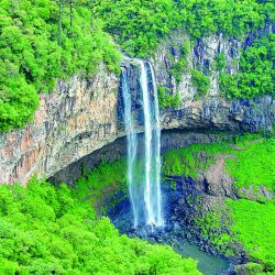 Ya pican los chatos en tu Weekend de enero, y mucho más para las vacaciones.