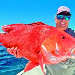 Ya pican los chatos en tu Weekend de enero, y mucho más para las vacaciones.