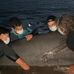 A pesar de haber logrado reintroducirlo con éxito, el animal fue hallado sin vida en la mañana siguiente