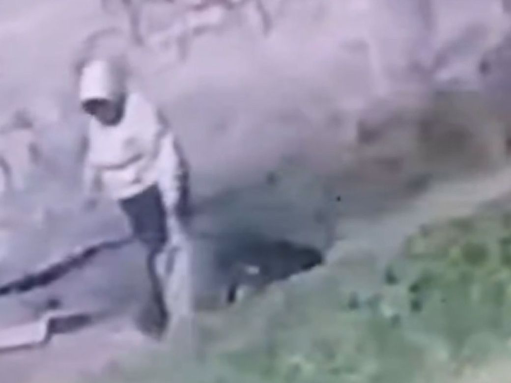 Abandonaron a un recién nacido en una zanja de Quilmes y una vecina lo  rescató | Perfil