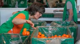 En Argentina se desperdician por año 72 kg de alimentos por persona 18122025