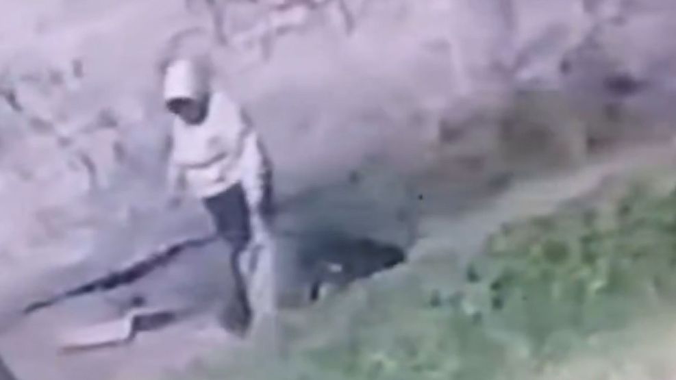 Bebé recién nacido abandonado en San Francisco Solano 18122025