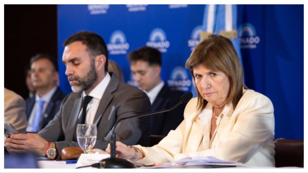 bullrich senado 18122025