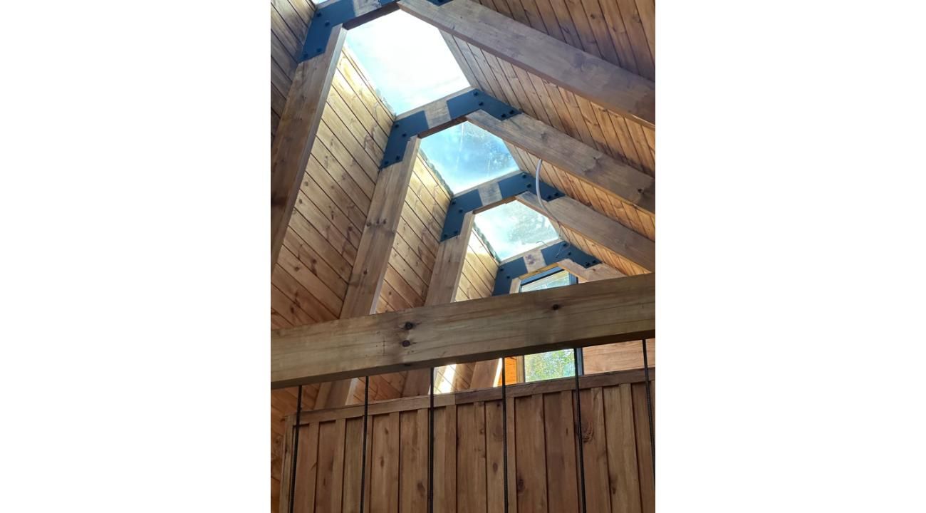 Construcción en madera: por qué será clave en 2026 para hoteles, viviendas y educación