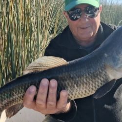 1912_mapa_pique_pesca