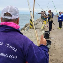  El Club Atlántico de Mar del Plata se consagró campeón por equipos en mayores, mientras que La Terraza de Berisso hizo lo propio en seniors. 