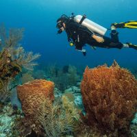 Belize: un paraíso por descubrir, experimentar y amar