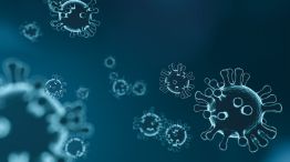 Alerta por la expansión de una nueva variante de la gripe H3N2 en varios países