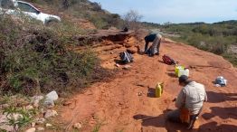 Descubren resto de dinosaurio en Córdoba