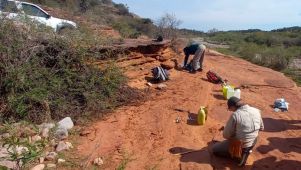 Descubren resto de dinosaurio en Córdoba