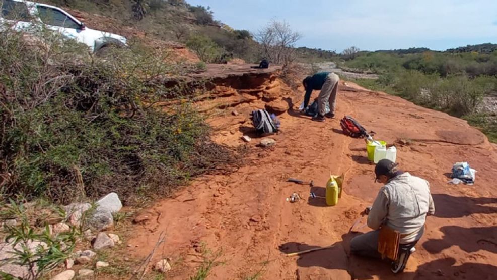 Descubren resto de dinosaurio en Córdoba