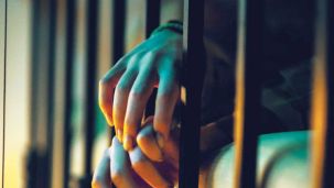 20_12_2025_psicologo_forense_cedoc_g