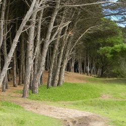 Miramar y un verano familiar.