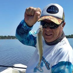 La laguna ofrece comodidades plenas para el pescador: servicios completos, accesibilidad total, perímetro asfaltado y cercanía urbana.