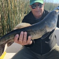 La laguna ofrece comodidades plenas para el pescador: servicios completos, accesibilidad total, perímetro asfaltado y cercanía urbana.