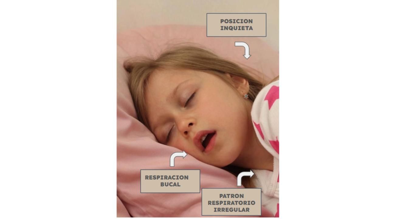 Cómo Respiramos, Crecemos: El Poder Invisible de la Nariz