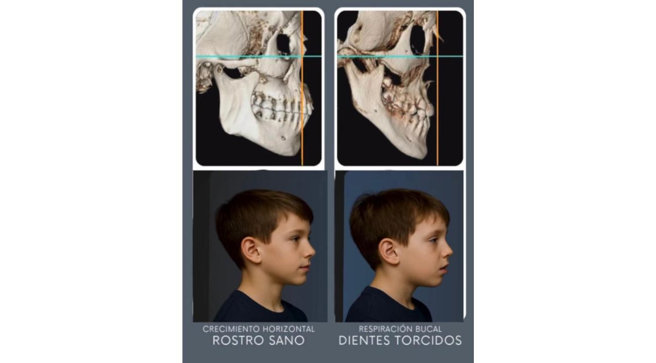 Cómo Respiramos, Crecemos: El Poder Invisible de la Nariz