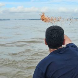 La expectativa ahora está puesta en febrero y marzo, meses en los que suelen aparecer las grandes bogas que pueden superar los 4 kilos.