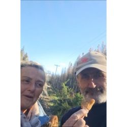 Fungi Gesell: Cultivo de Morillas desde la Patagonia a Villa Gesell | Foto:CONTENTNOTICIAS