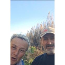 Fungi Gesell: Cultivo de Morillas desde la Patagonia a Villa Gesell | Foto:CONTENTNOTICIAS