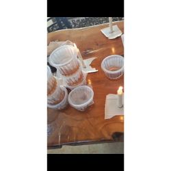 Fungi Gesell: Cultivo de Morillas desde la Patagonia a Villa Gesell | Foto:CONTENTNOTICIAS