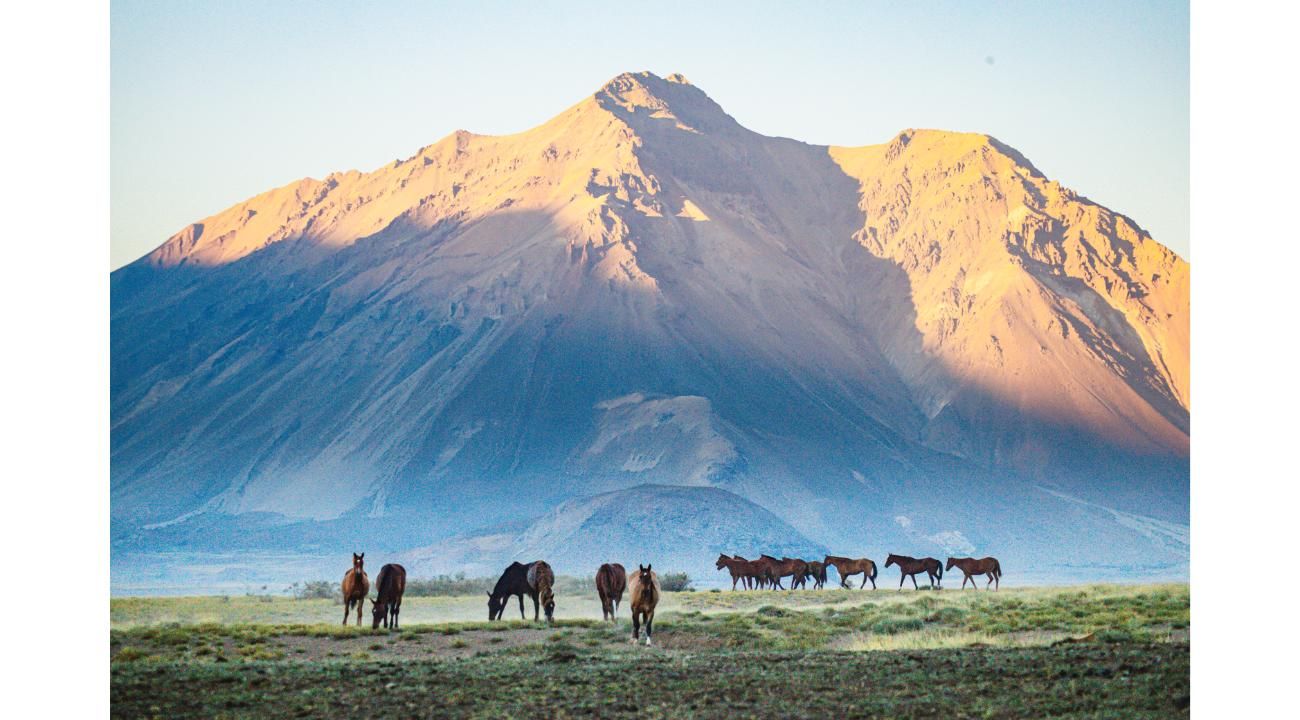 GR Turismo Aventura: una propuesta diferente para conocer el sur mendocino