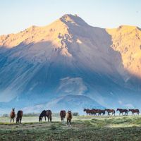 GR Turismo Aventura: una propuesta diferente para conocer el sur mendocino