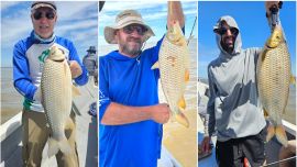 Bogas en los malecones, el anticipo de una temporada prometedora