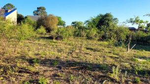 Estafas inmobiliarias