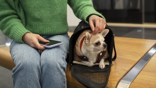 Cuenta DNI y Banco Provincia lanzan 10% de ahorro y cuotas sin interés en veterinarias