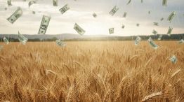 Trigo-dólar 24122025