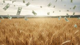 ¿Por qué la cosecha récord de trigo del campo no aumenta el ingreso de dólares?