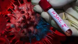 Todos los detalles sobre la nueva gripe H3N2.