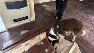 Granda en Villa Allende