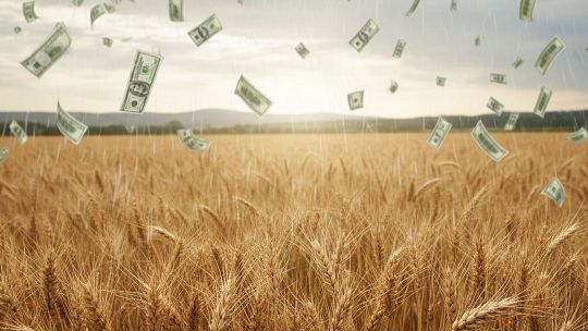 Trigo-dólar 24122025