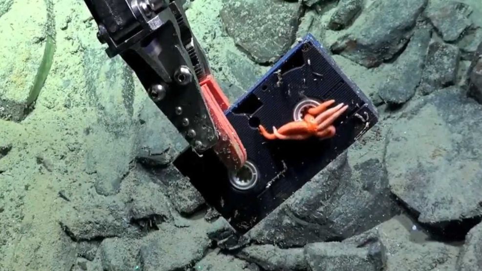 La nueva expedición del CONICET encontró un VHS a 2600 metros de profundidad 20251223