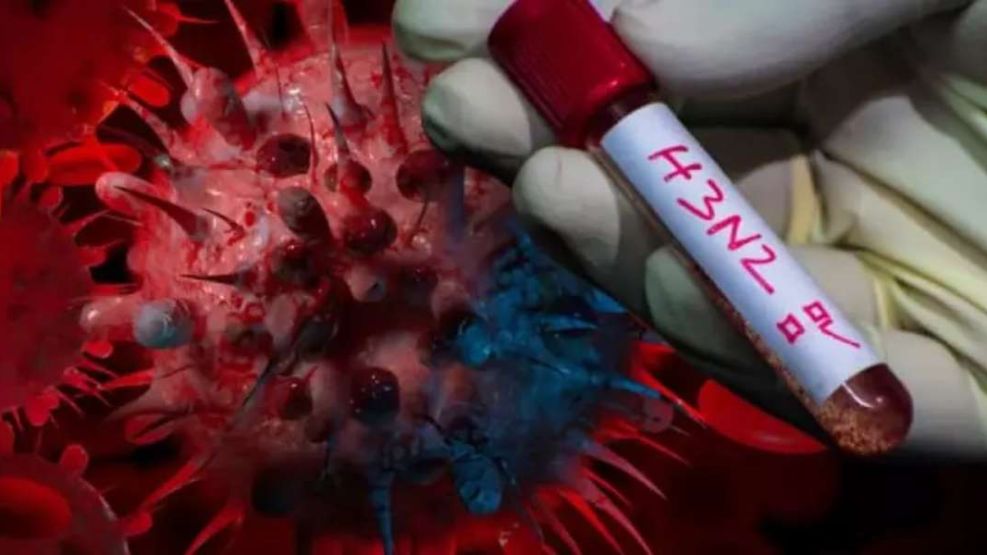 Todos los detalles sobre la nueva gripe H3N2.