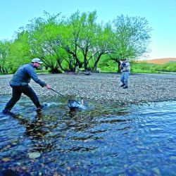 Un espejo y un cauce, lago Engaño y río Corcovado, una cuenca muy rica para intentar enfrentarse con alguno de sus buenos trofeos.