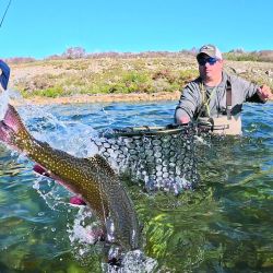 Un espejo y un cauce, lago Engaño y río Corcovado, una cuenca muy rica para intentar enfrentarse con alguno de sus buenos trofeos.