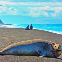 Entre acantilados, playas y un casco histórico traído pieza por pieza desde Europa, El Pedral vuelve a latir como estancia.