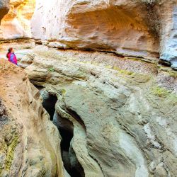 Entre acantilados, playas y un casco histórico traído pieza por pieza desde Europa, El Pedral vuelve a latir como estancia.