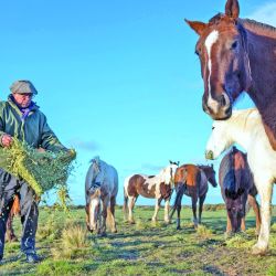 Entre acantilados, playas y un casco histórico traído pieza por pieza desde Europa, El Pedral vuelve a latir como estancia.
