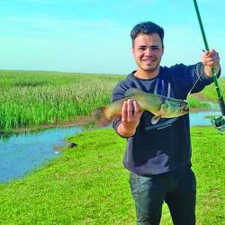 Atractivas alternativas para ir por taruchas de diferentes portes en las modalidades baitcasting, spinning, carnada natural o fly. 